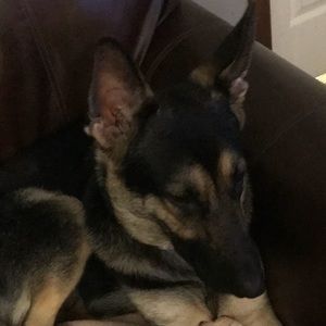 Meet your Posher, Carolyn